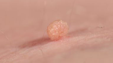 Kozmeker Skin Studio